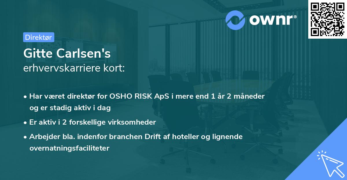Gitte Carlsen's erhvervskarriere kort
