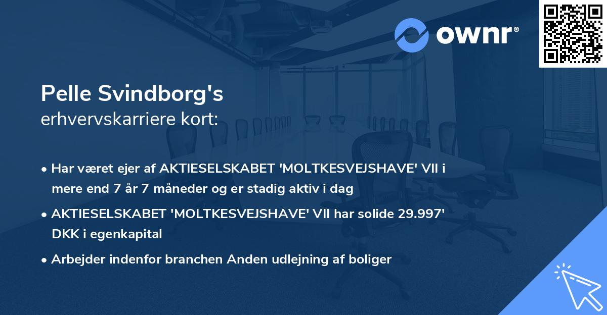 Pelle Svindborg's erhvervskarriere kort