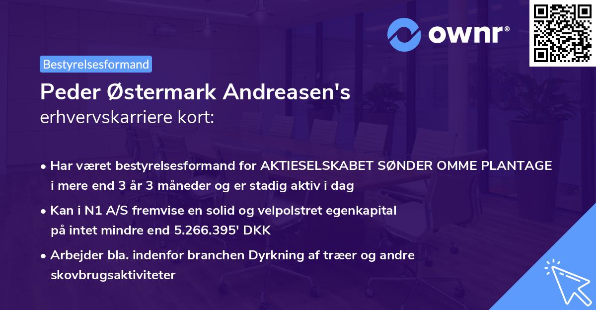 Peder Østermark Andreasen's erhvervskarriere kort