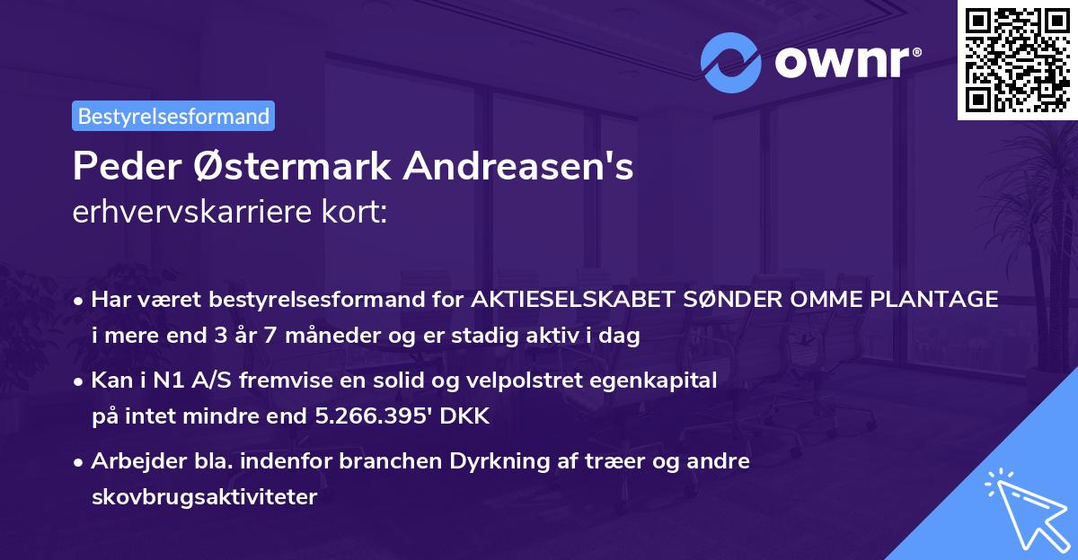 Peder Østermark Andreasen's erhvervskarriere kort