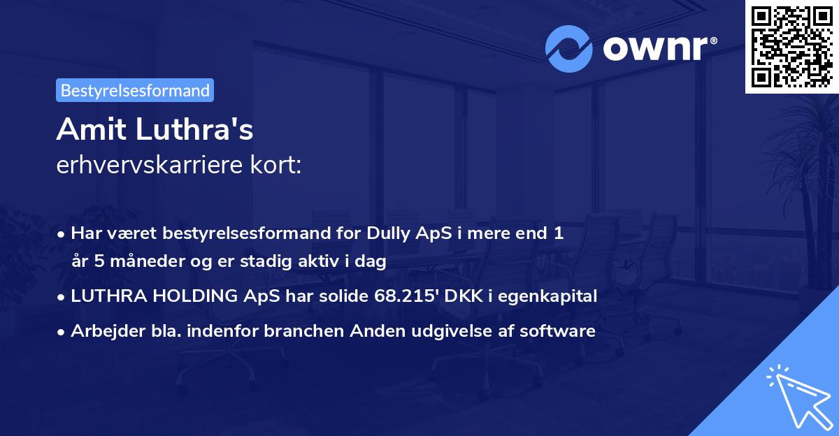 Amit Luthra's erhvervskarriere kort