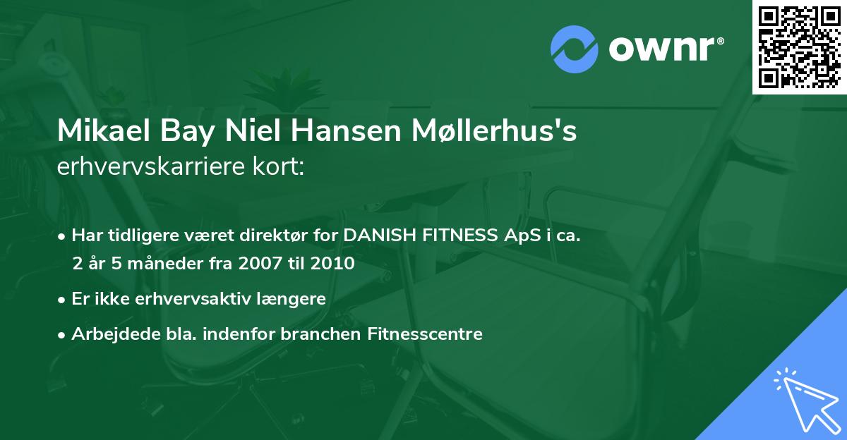 Mikael Bay Niel Hansen Møllerhus's erhvervskarriere kort