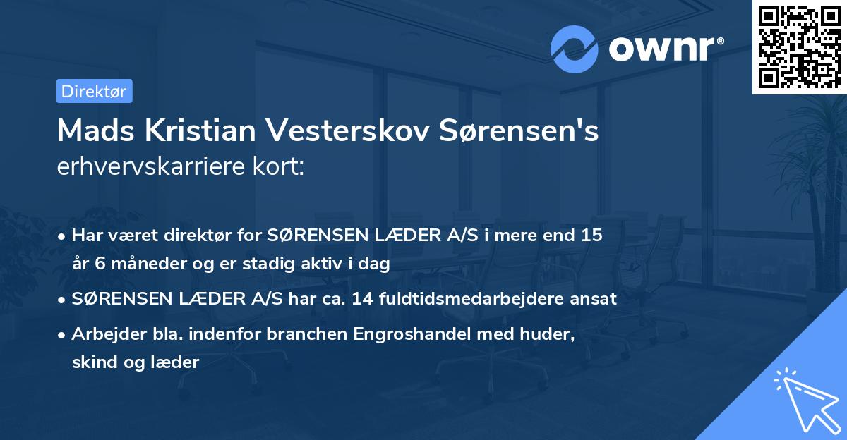 Mads Kristian Vesterskov Sørensen's erhvervskarriere kort