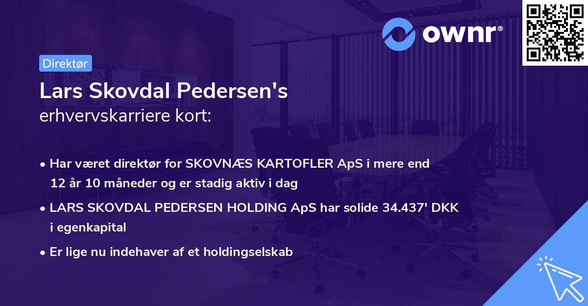 Lars Skovdal Pedersen's erhvervskarriere kort