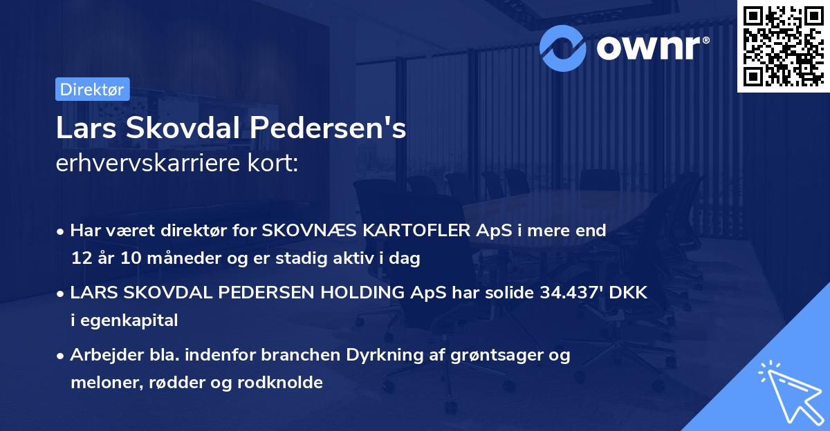 Lars Skovdal Pedersen's erhvervskarriere kort