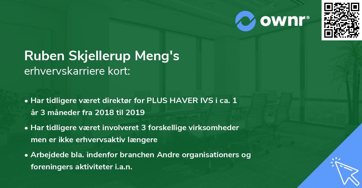 Ruben Skjellerup Meng's erhvervskarriere kort