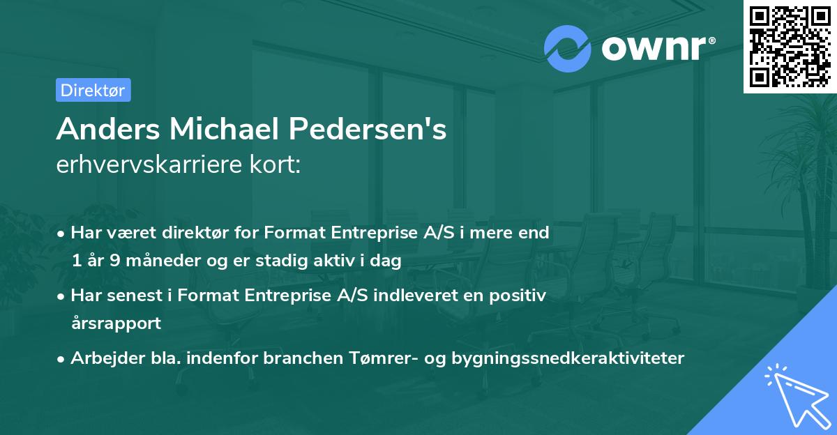 Anders Michael Pedersen's erhvervskarriere kort