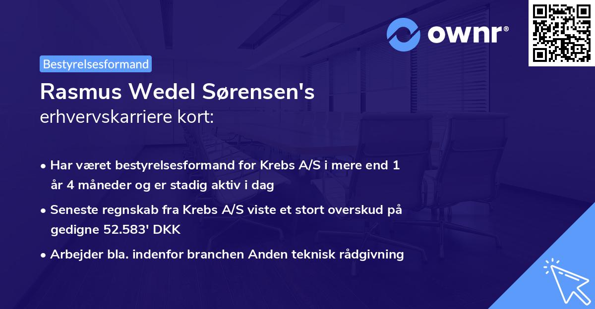 Rasmus Wedel Sørensen's erhvervskarriere kort