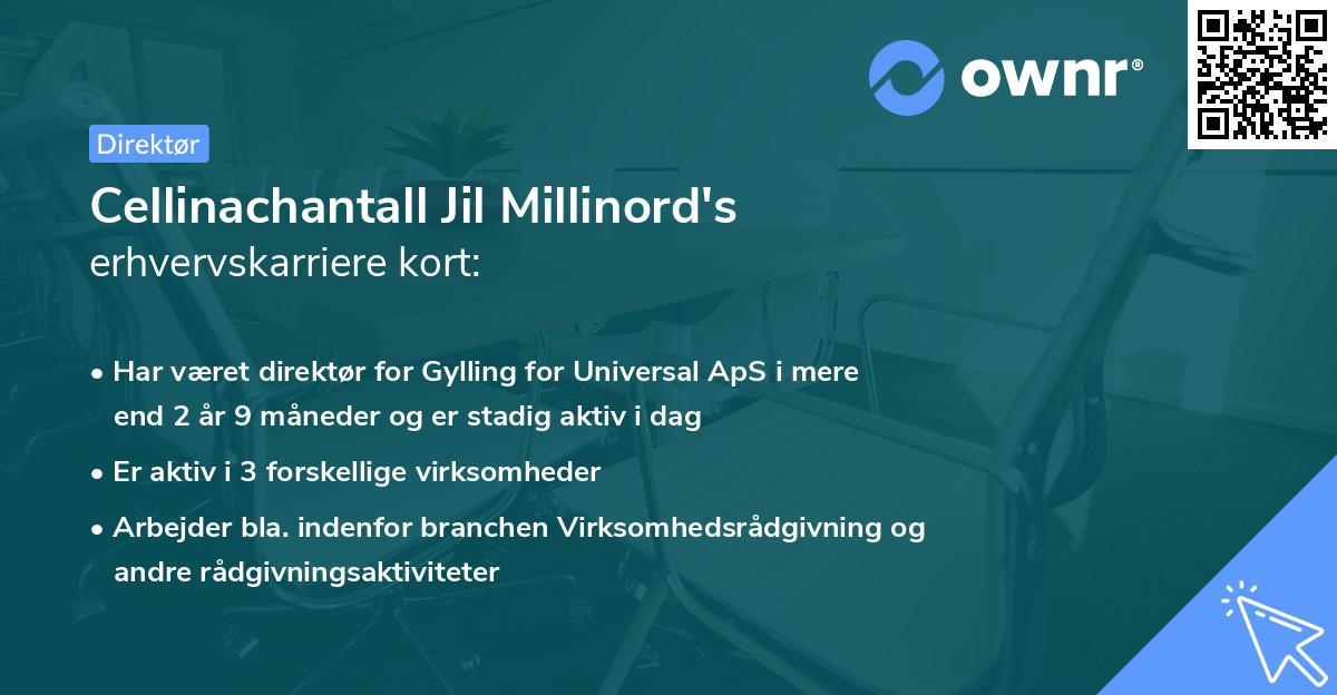 Cellinachantall Jil Millinord's erhvervskarriere kort