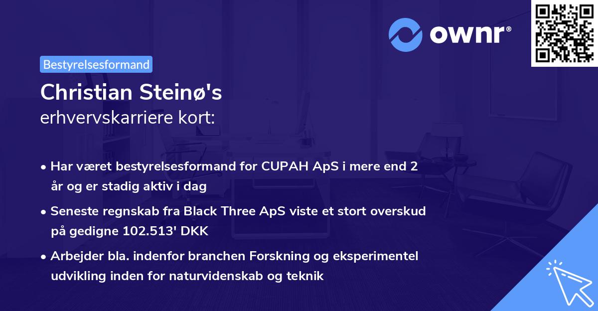 Christian Steinø's erhvervskarriere kort