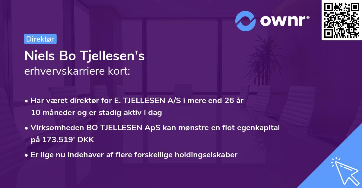 Niels Bo Tjellesen's erhvervskarriere kort