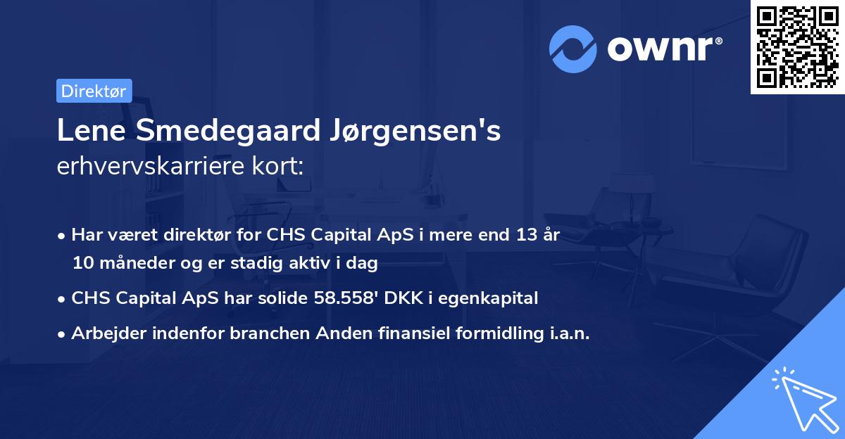Lene Smedegaard Jørgensen's erhvervskarriere kort