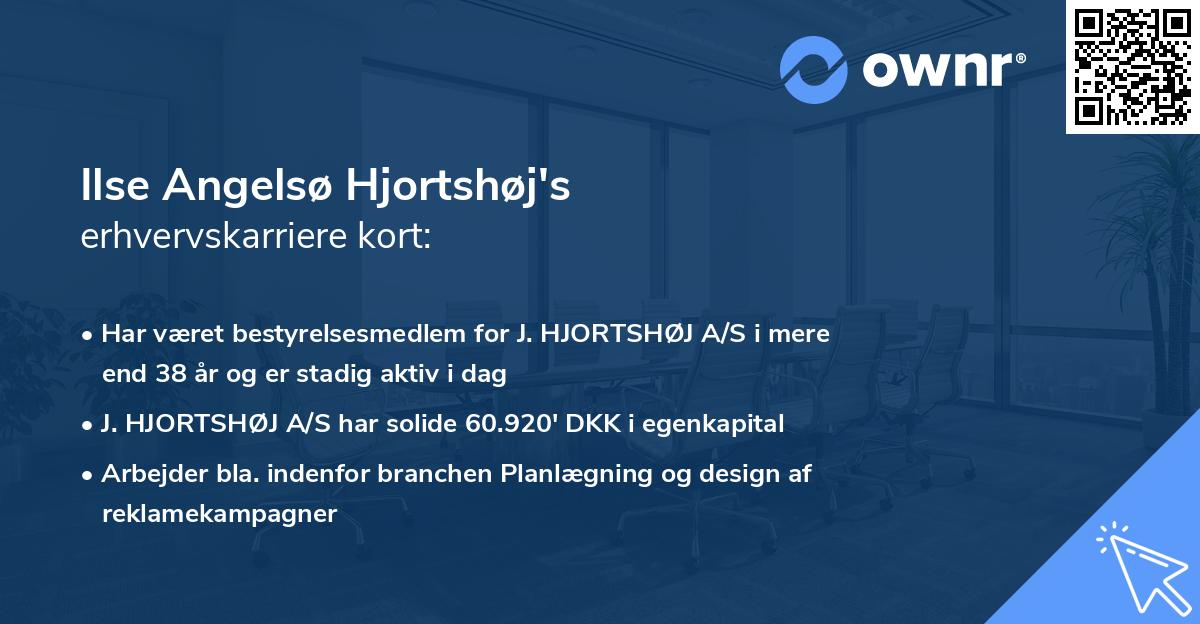 Ilse Angelsø Hjortshøj's erhvervskarriere kort