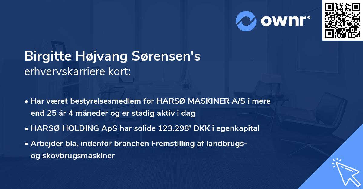 Birgitte Højvang Sørensen's erhvervskarriere kort