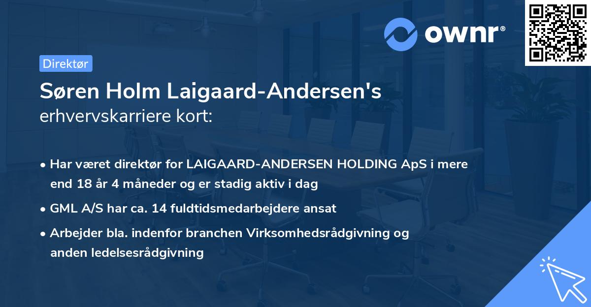 Søren Holm Laigaard-Andersen's erhvervskarriere kort