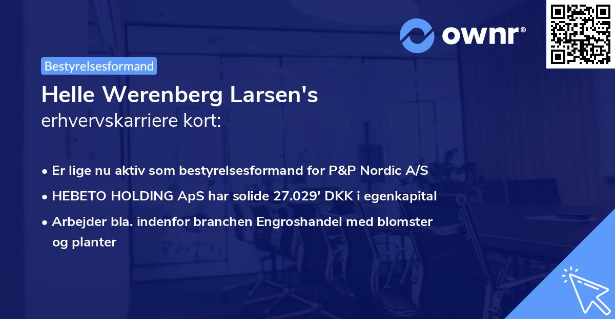 Helle Werenberg Larsen's erhvervskarriere kort
