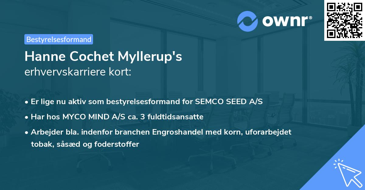 Hanne Cochet Myllerup's erhvervskarriere kort