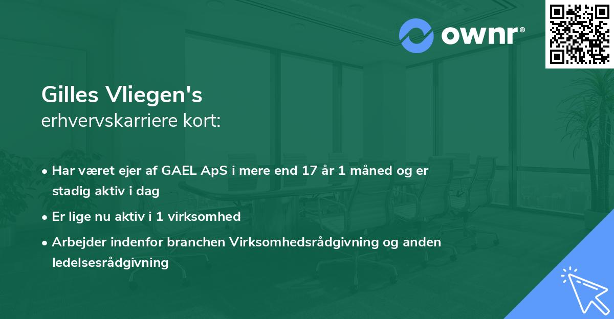 Gilles Vliegen's erhvervskarriere kort