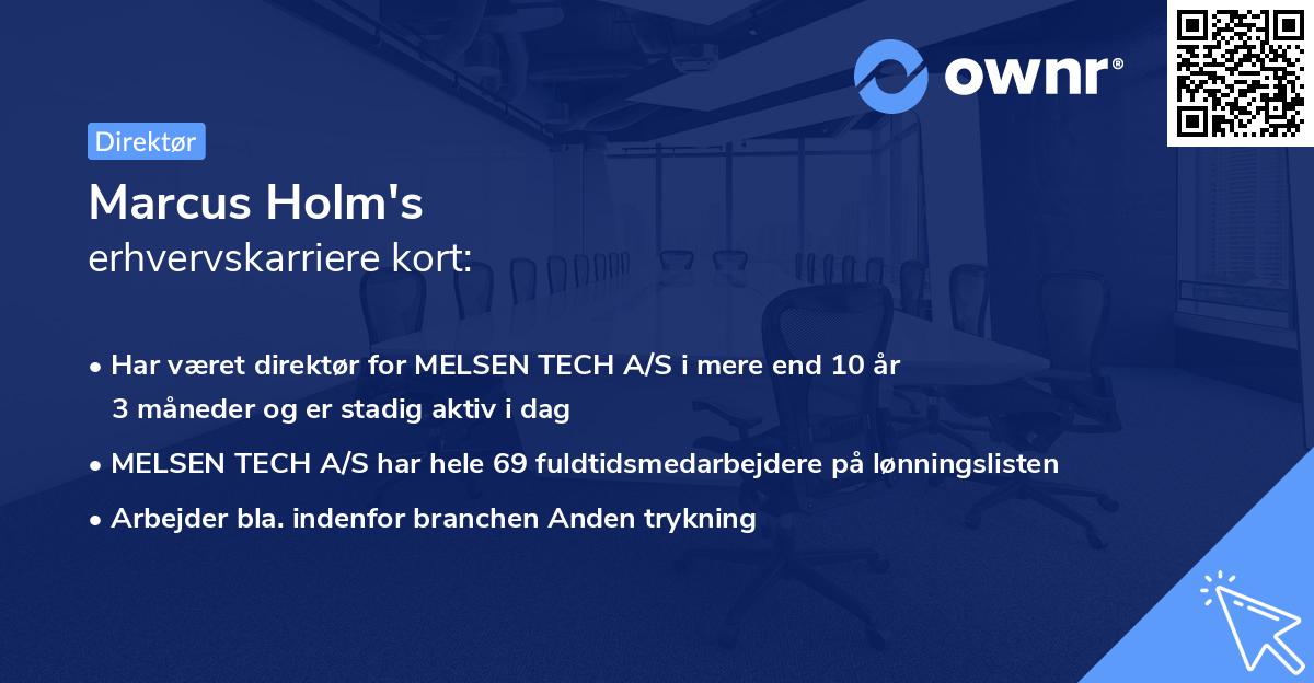 Marcus Holm's erhvervskarriere kort