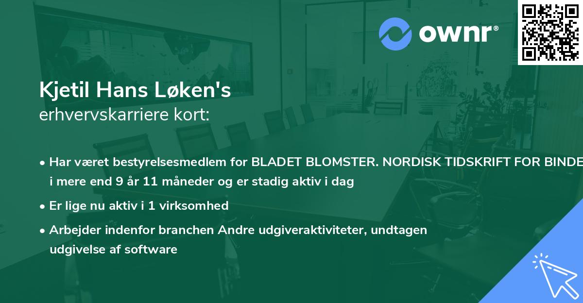 Kjetil Hans Løken's erhvervskarriere kort