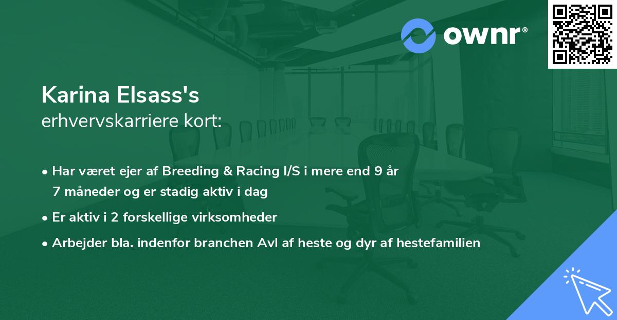 Karina Elsass's erhvervskarriere kort