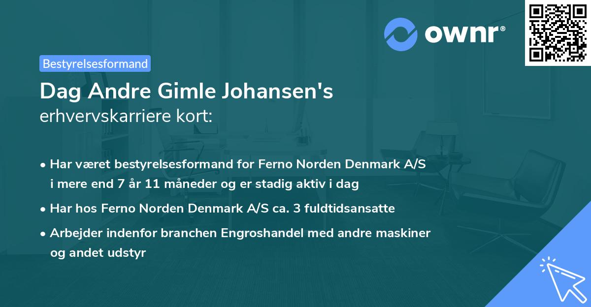 Dag Andre Gimle Johansen's erhvervskarriere kort