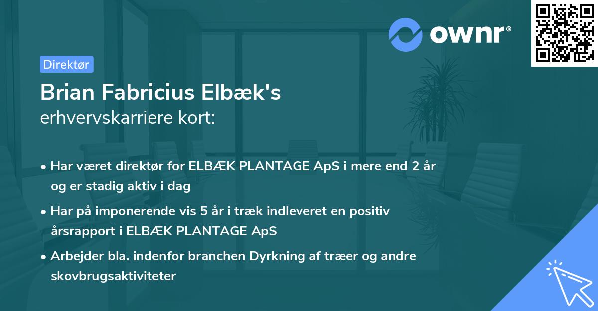 Brian Fabricius Elbæk's erhvervskarriere kort