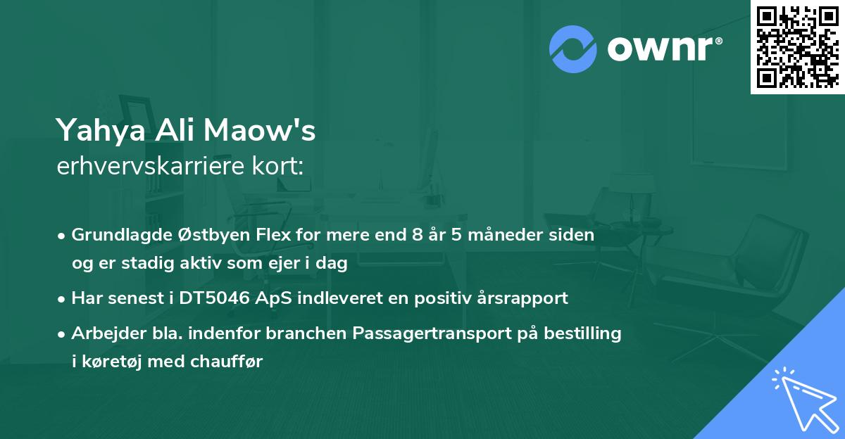 Yahya Ali Maow's erhvervskarriere kort