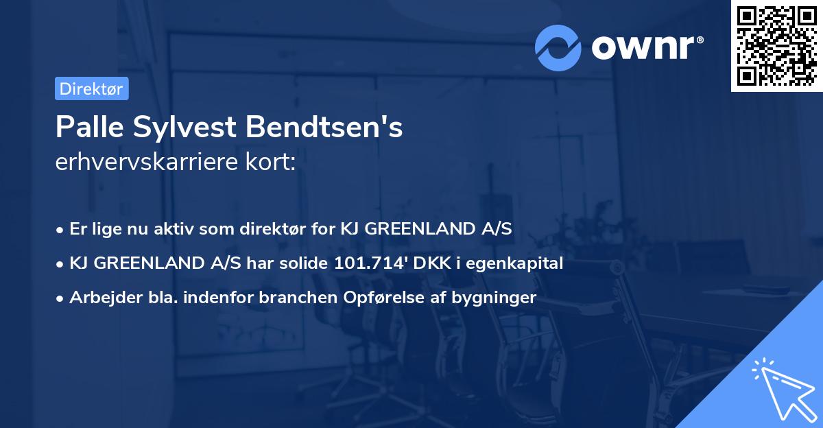 Palle Sylvest Bendtsen's erhvervskarriere kort
