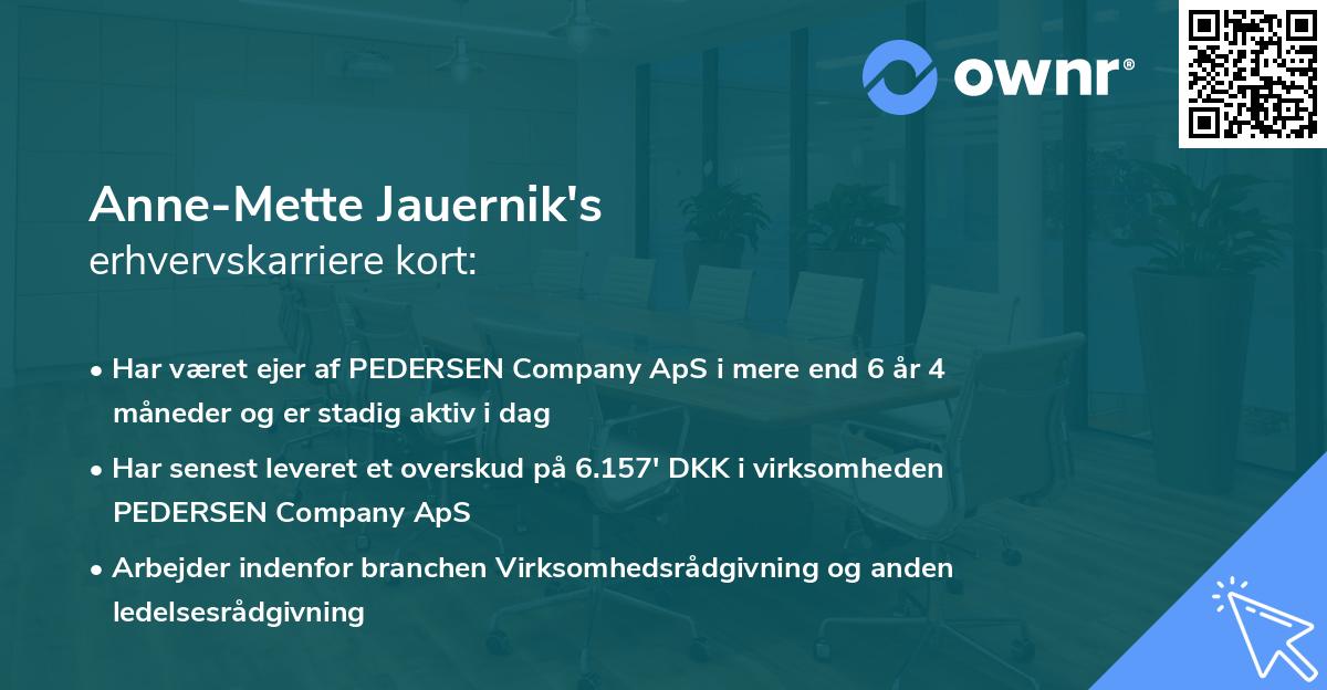 Anne-Mette Jauernik's erhvervskarriere kort