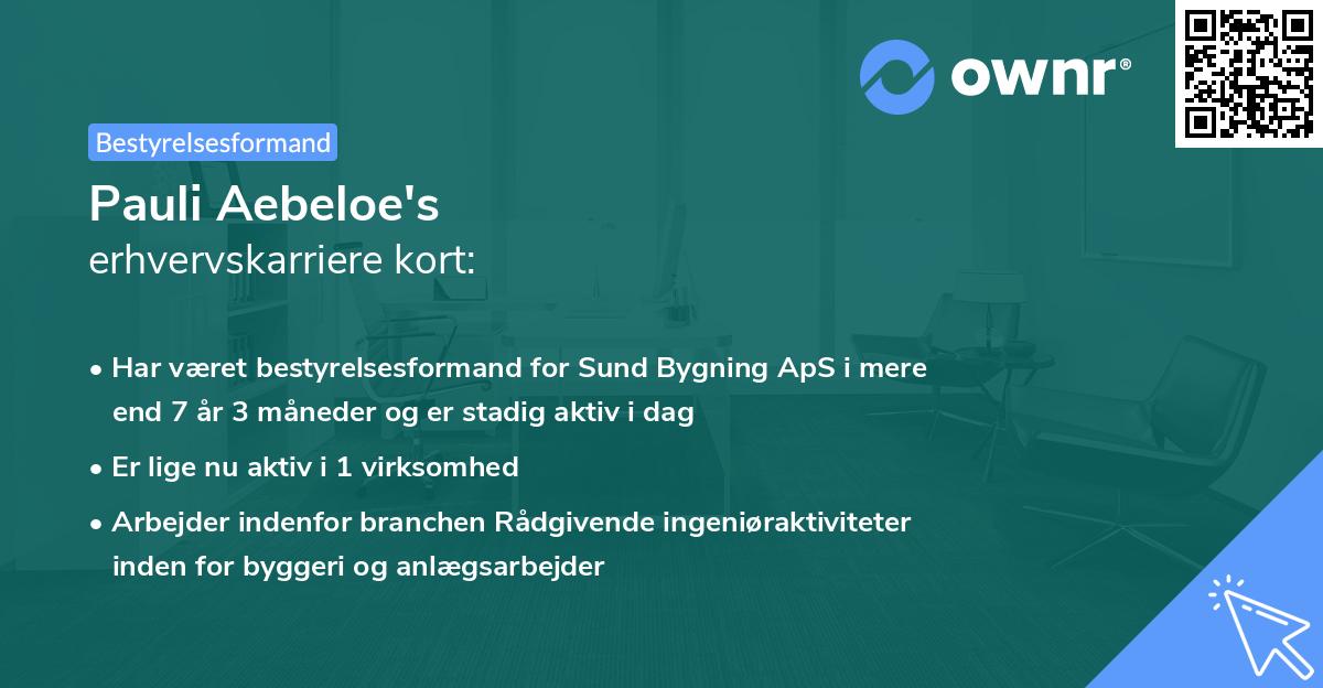 Pauli Aebeloe's erhvervskarriere kort