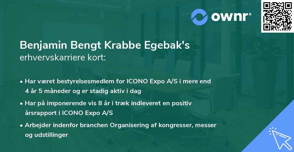 Benjamin Bengt Krabbe Egebak's erhvervskarriere kort