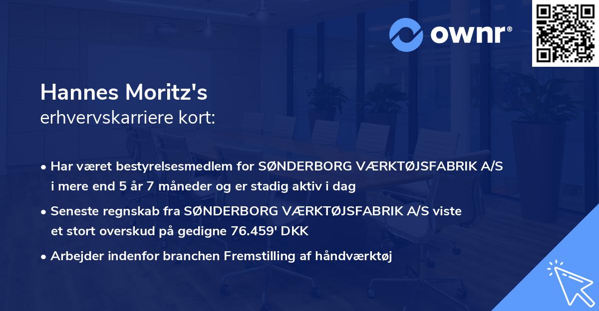 Hannes Moritz's erhvervskarriere kort