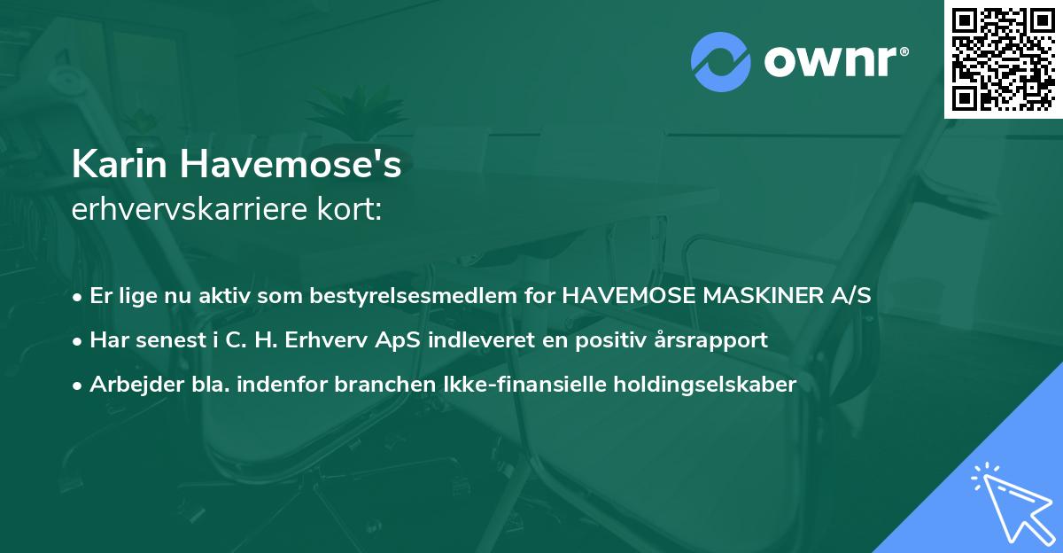 Karin Havemose's erhvervskarriere kort