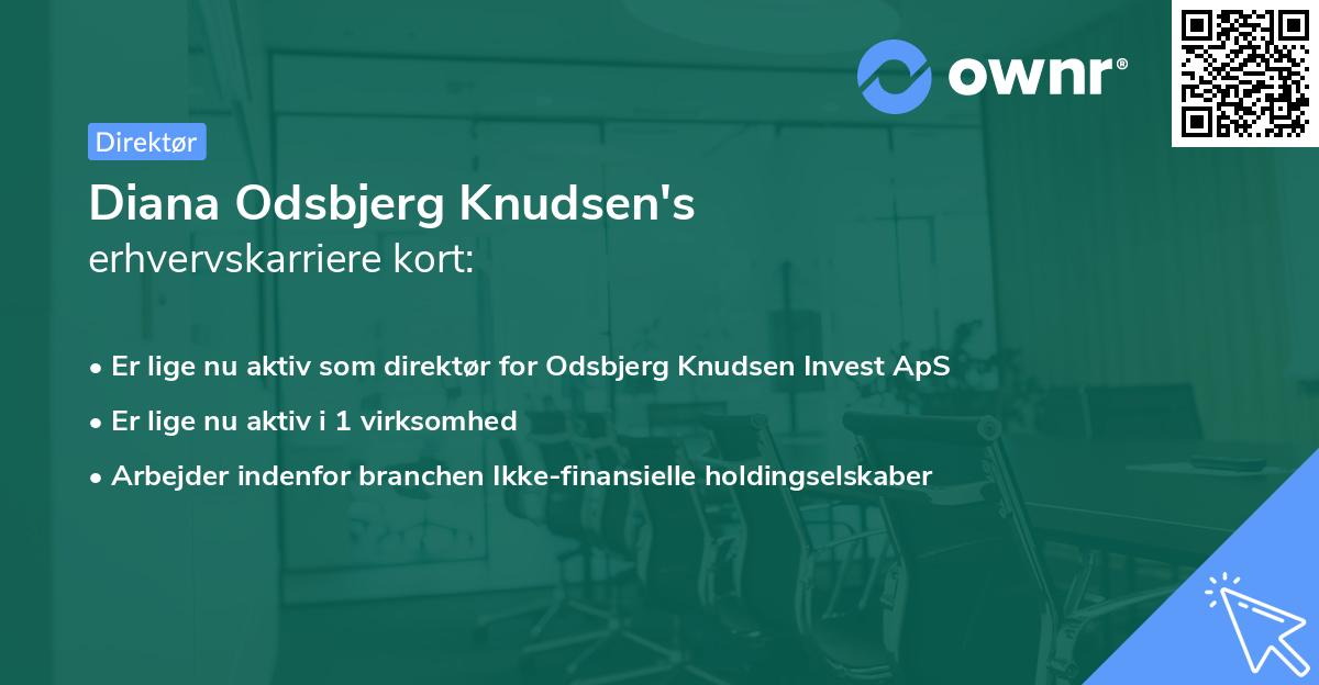 Diana Odsbjerg Knudsen's erhvervskarriere kort