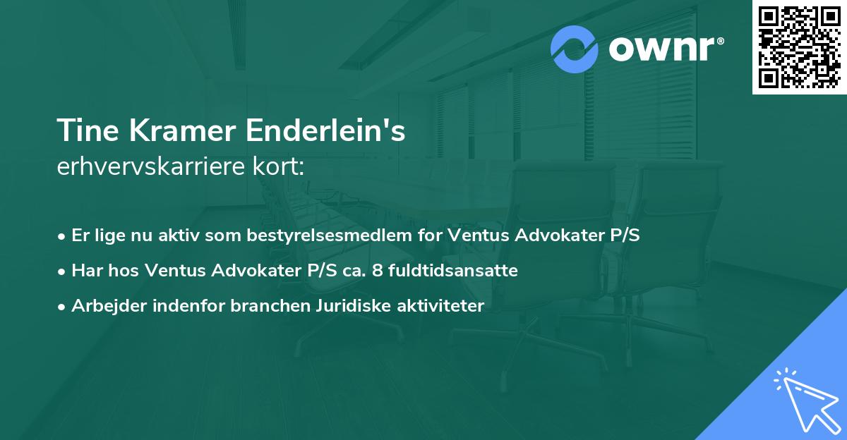 Tine Kramer Enderlein's erhvervskarriere kort