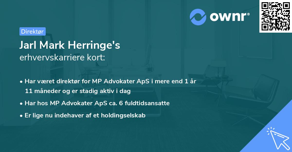 Jarl Mark Herringe's erhvervskarriere kort