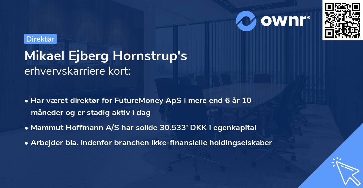 Mikael Ejberg Hornstrup's erhvervskarriere kort