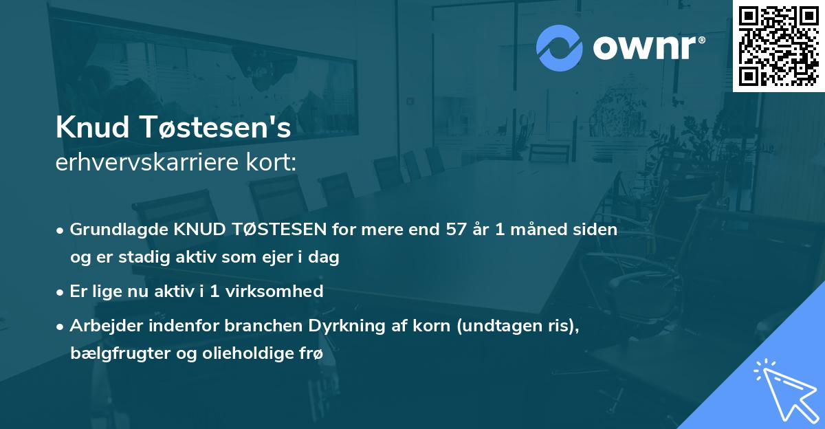 Knud Tøstesen's erhvervskarriere kort