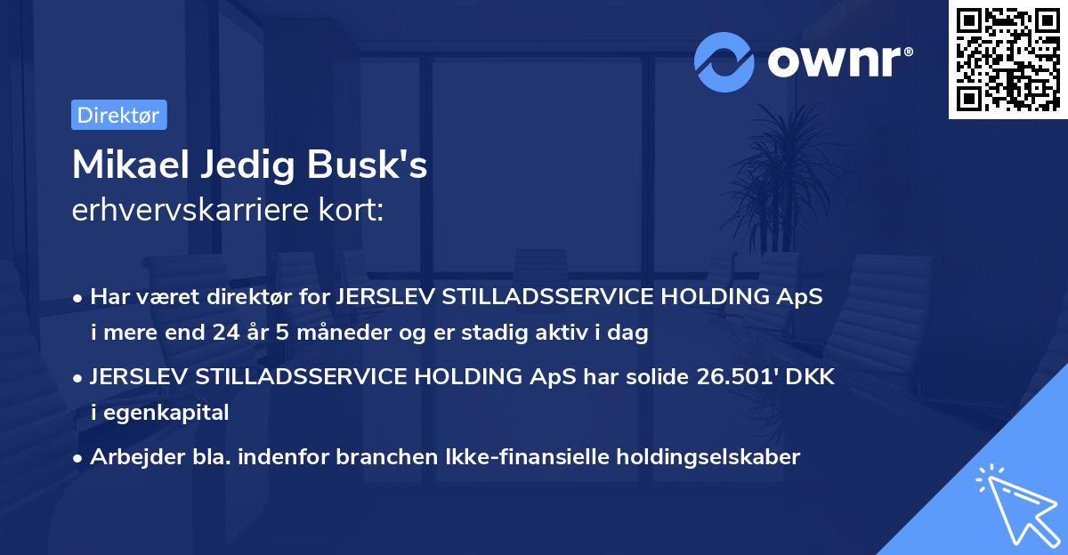 Mikael Jedig Busk's erhvervskarriere kort