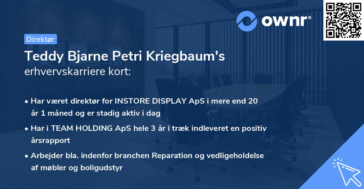 Teddy Bjarne Petri Kriegbaum's erhvervskarriere kort