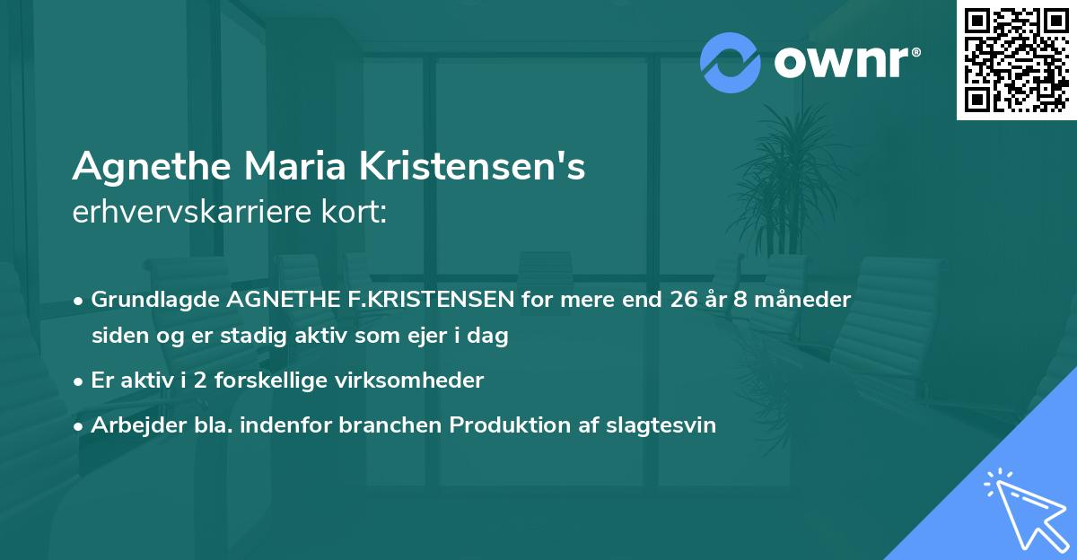 Agnethe Maria Kristensen's erhvervskarriere kort