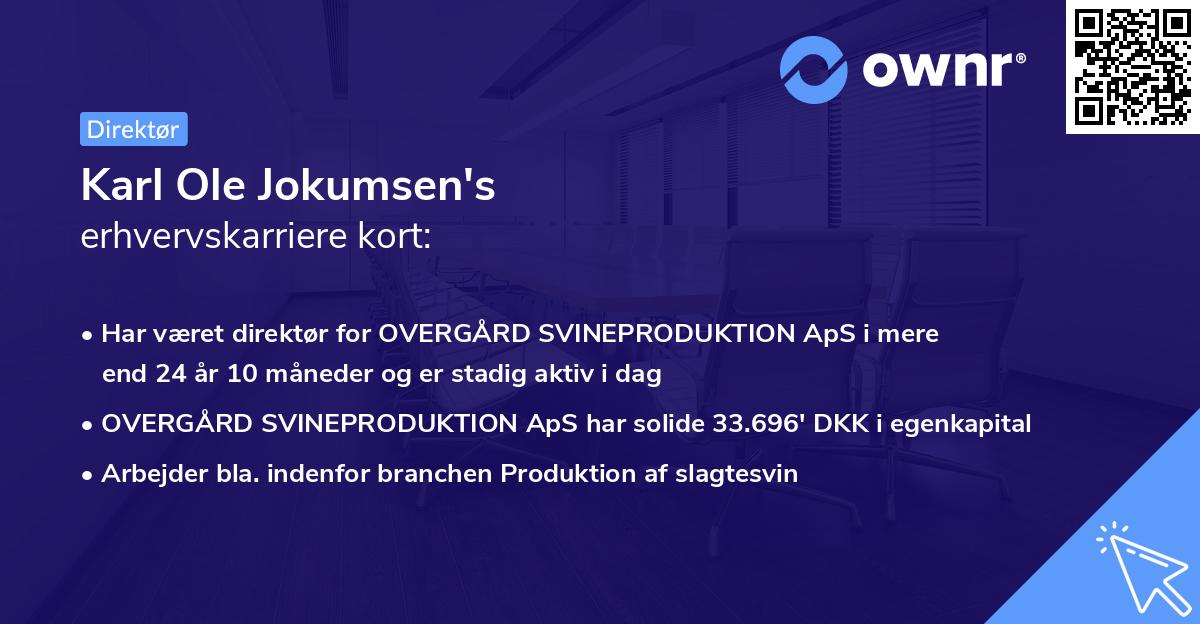 Karl Ole Jokumsen's erhvervskarriere kort