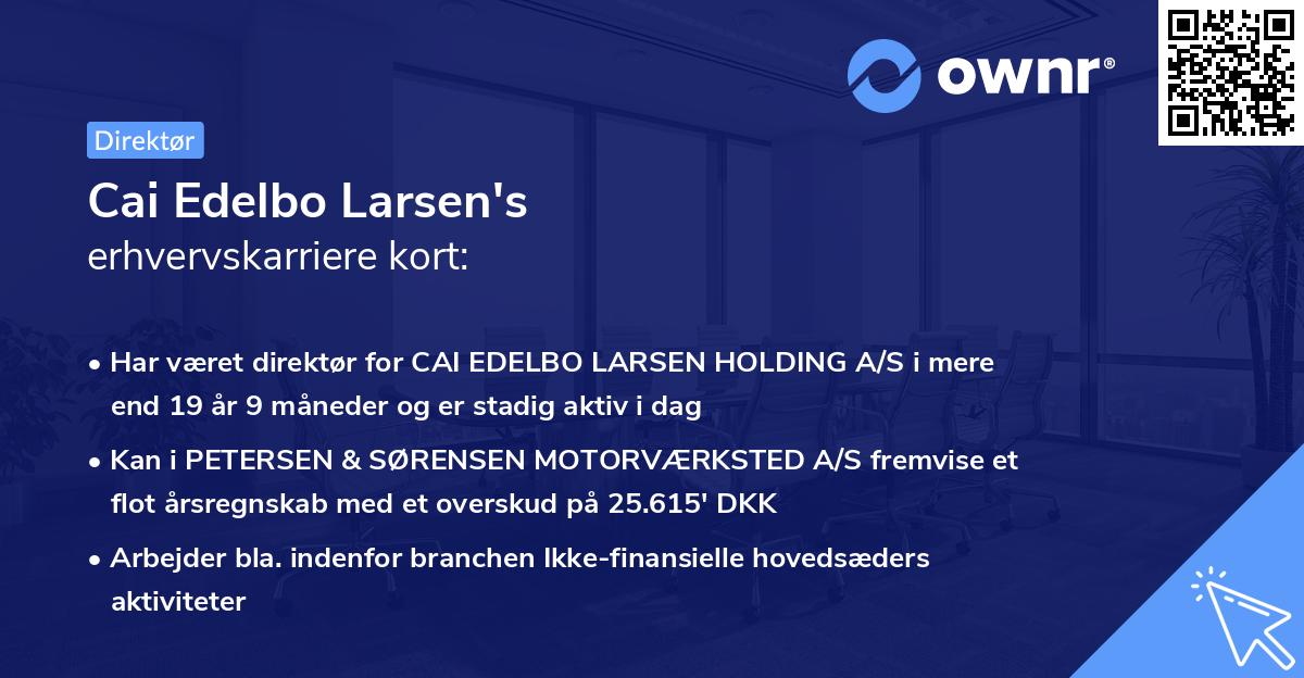 Cai Edelbo Larsen's erhvervskarriere kort