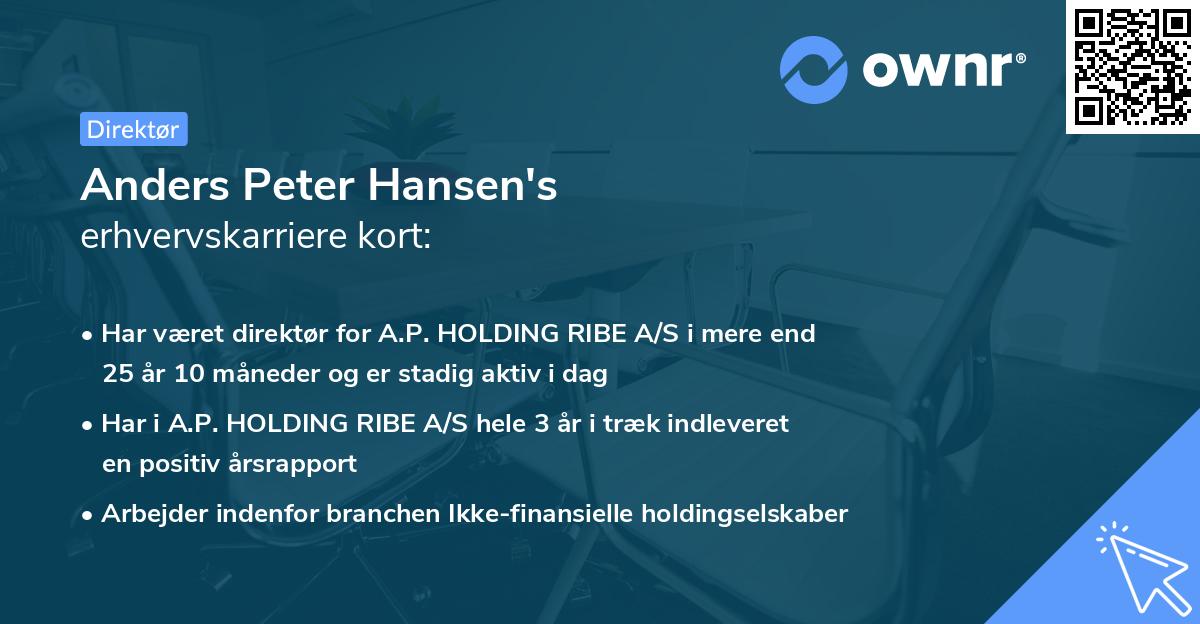 Anders Peter Hansen's erhvervskarriere kort
