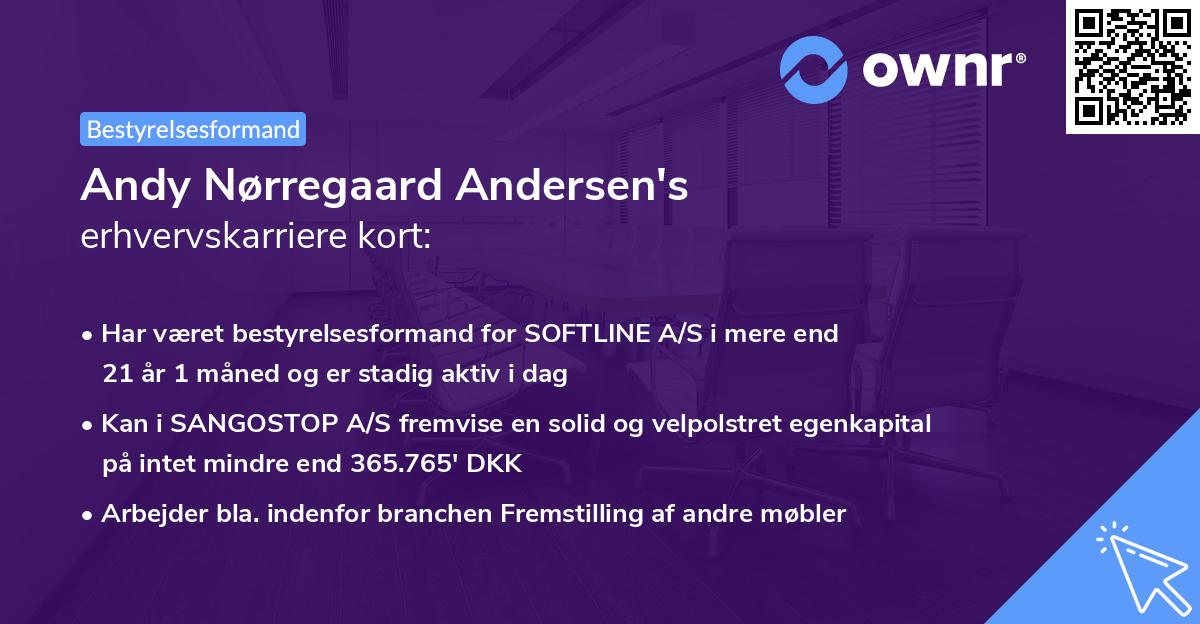 Andy Nørregaard Andersen's erhvervskarriere kort