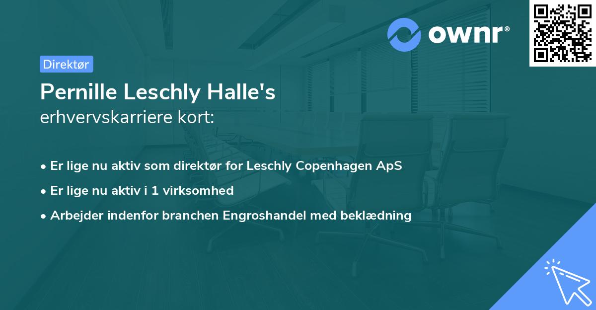 Pernille Leschly Halle's erhvervskarriere kort