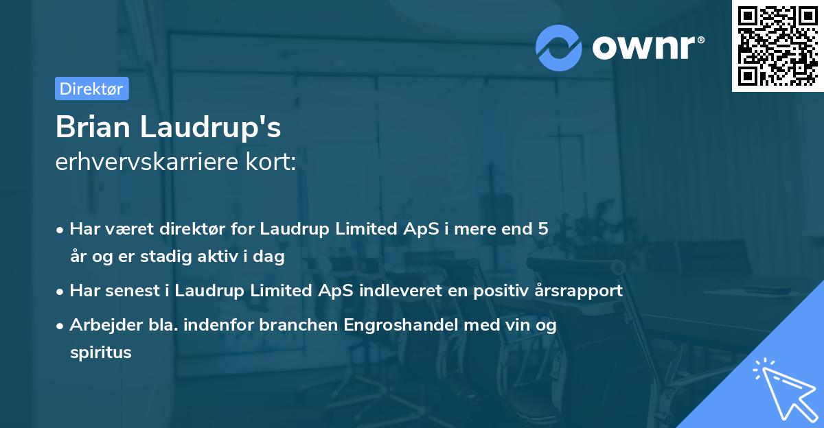 Brian Laudrup's erhvervskarriere kort