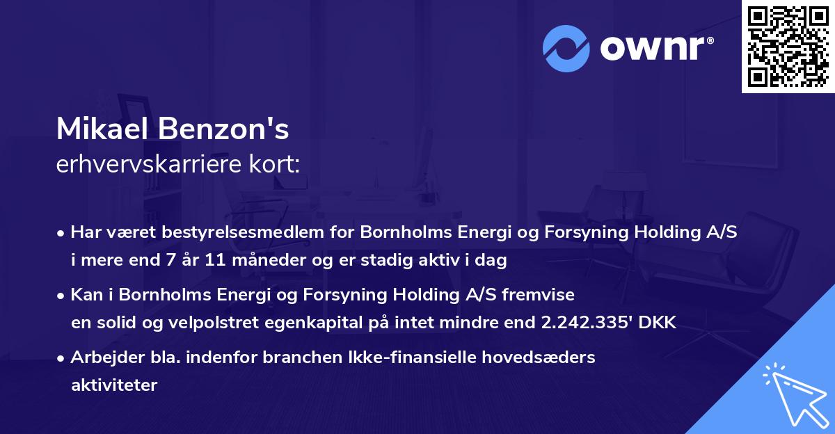 Mikael Benzon's erhvervskarriere kort