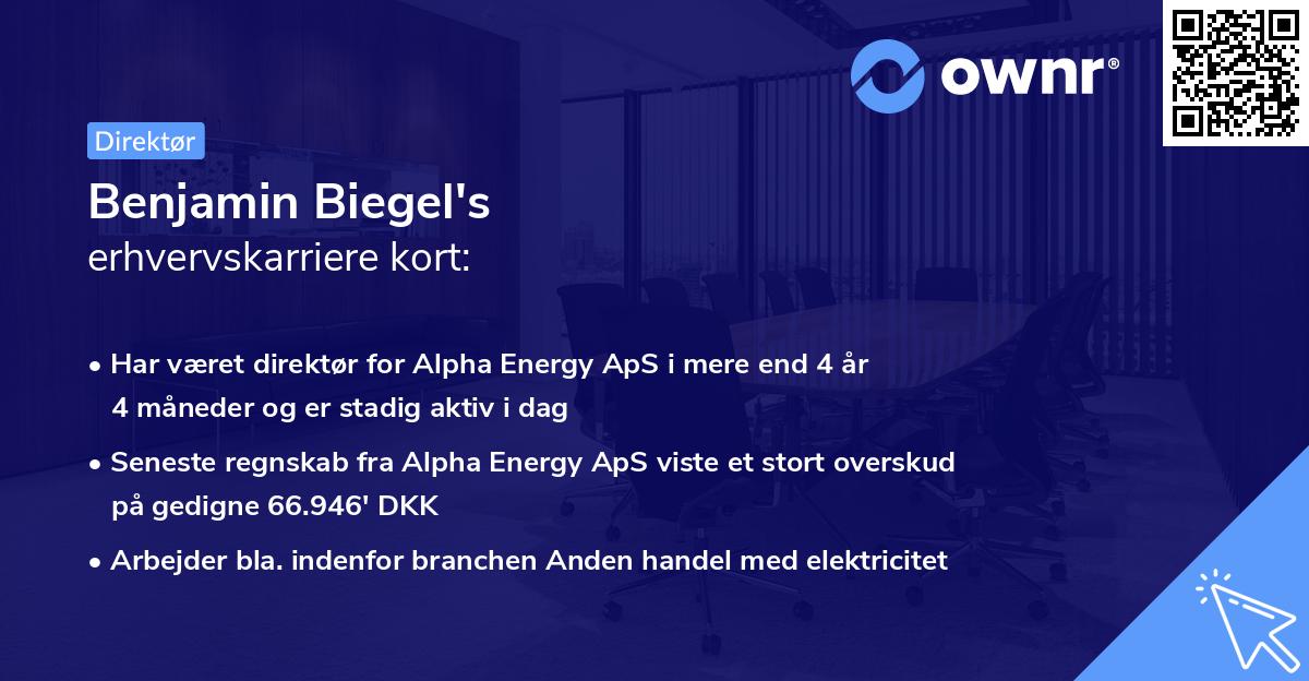 Benjamin Biegel's erhvervskarriere kort